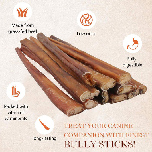 10-Pack Bully Sticks